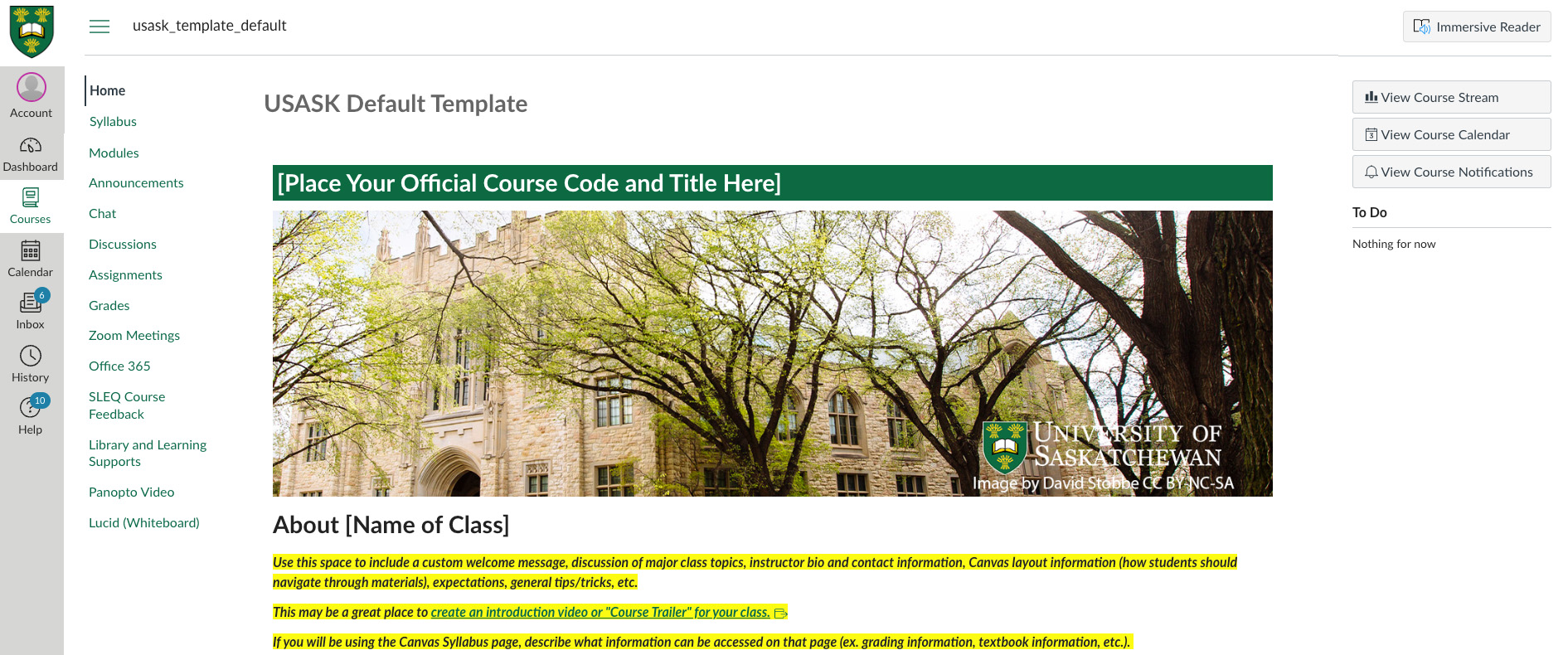 Image of the USask Canvas template