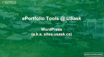 image/video link for WordPress