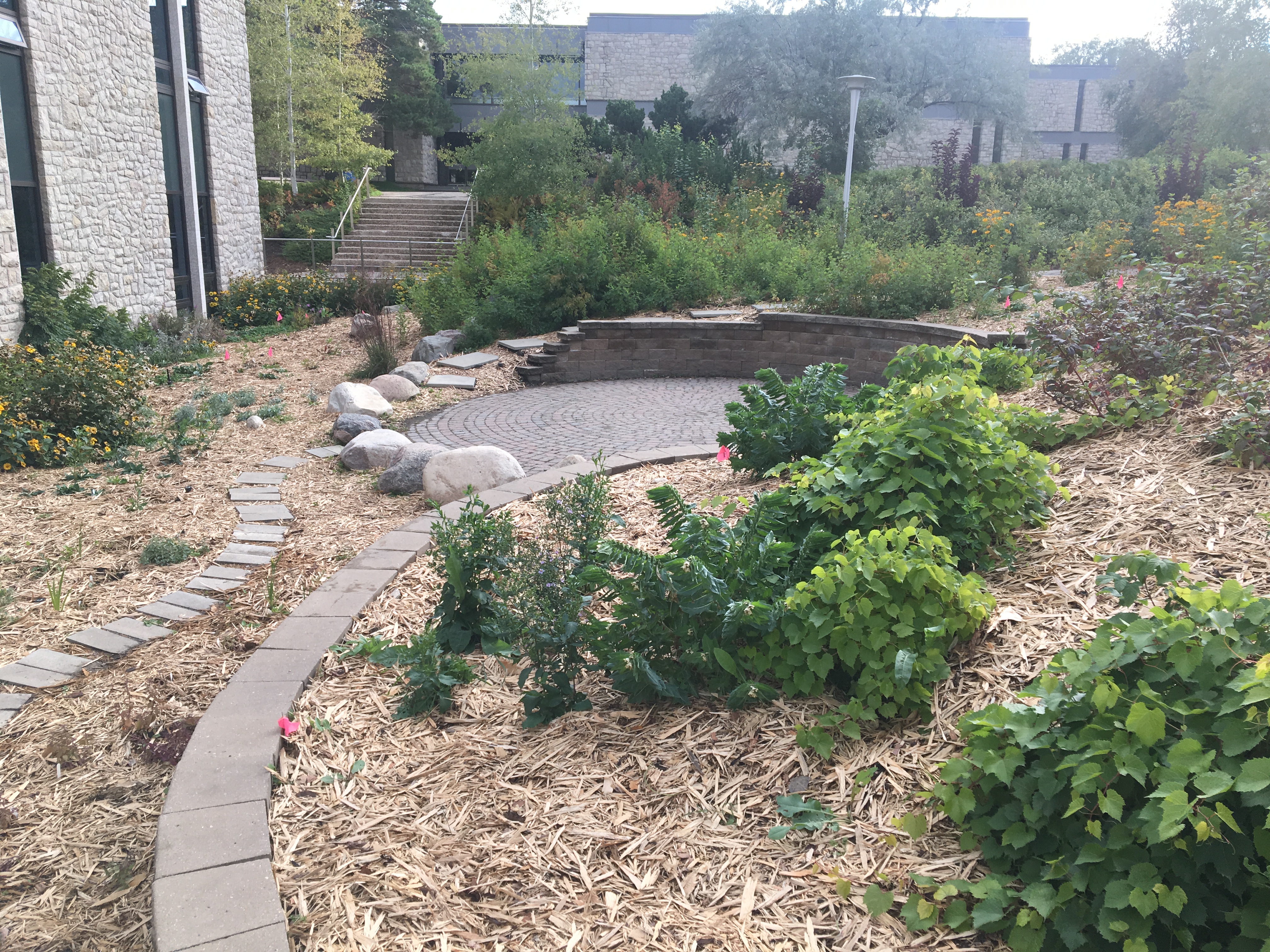 View of garden with Law building on left and Arts in front